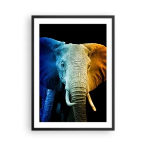 Poster in een zwarte lijst - Een kleurrijke afbeelding van een olifant op een zwarte achtergrond - 50x70cm - Excentriek, niet raar - Moderne wanddecoratie voor woonkamer en slaapkamer ARTTOR