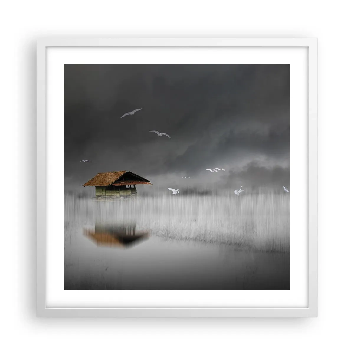 Poster in een witte lijst - Beschutting tegen regen - 50x50 cm