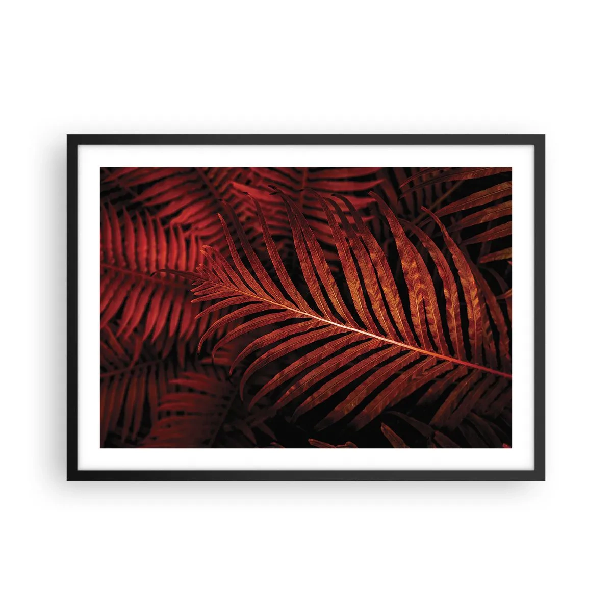 Poster in een zwarte lijst - De hitte van het leven - 70x50 cm