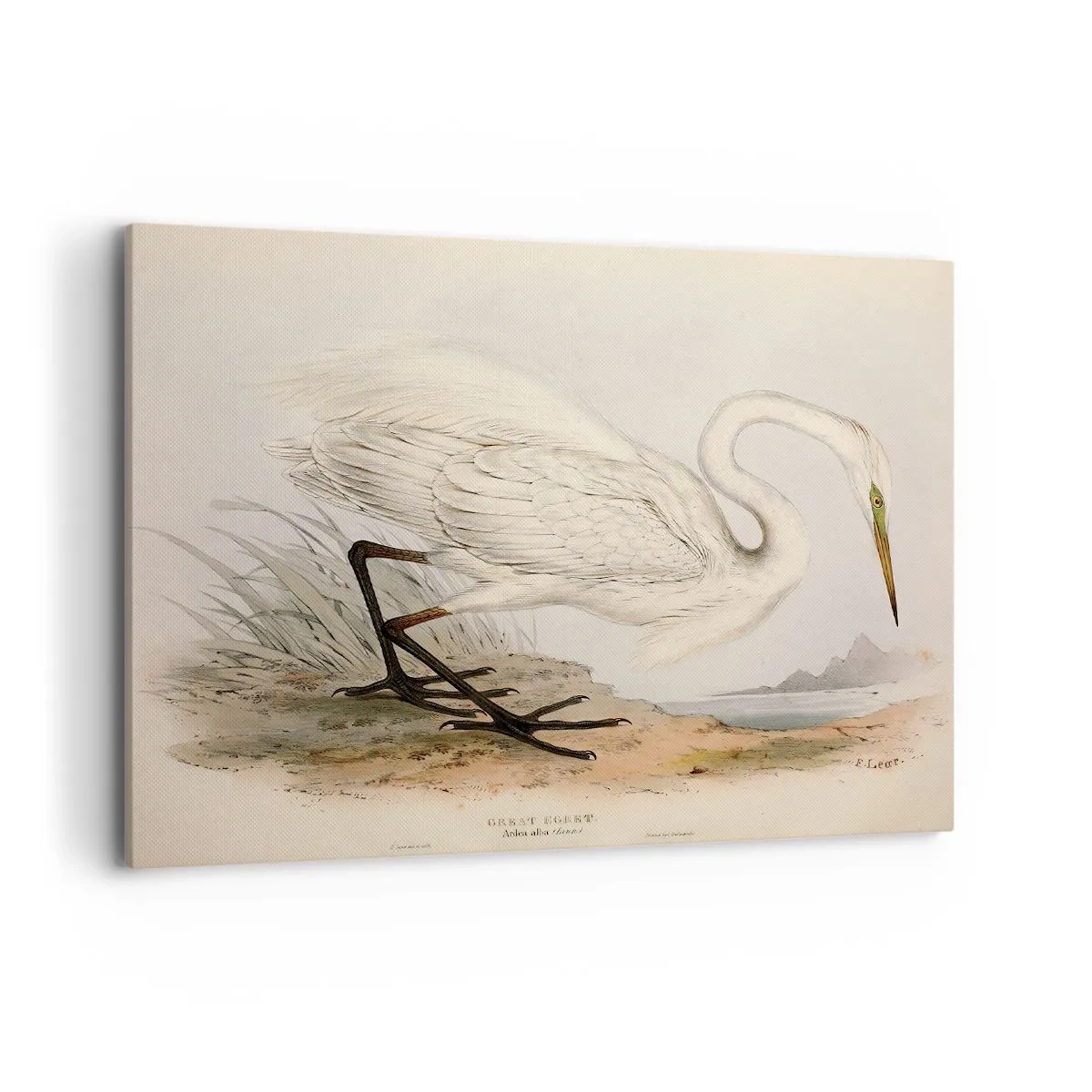 Schilderen op canvas - Dame op de biezen - 100x70 cm