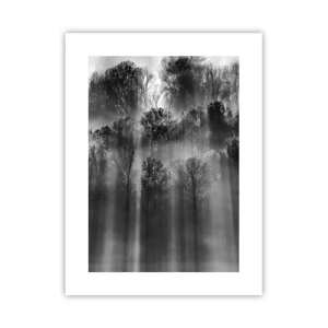 Poster - In stromen van licht - 30x40 cm