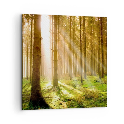 Schilderen op canvas - De elfjes zullen spoedig verschijnen - 50x50 cm