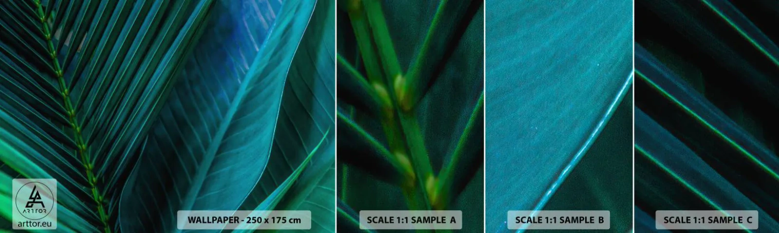 Fotobehang Staaltje Standard Eco - De anatomie van groen - Groene bladeren, Tropische plant, Natuur - 100x30 cm