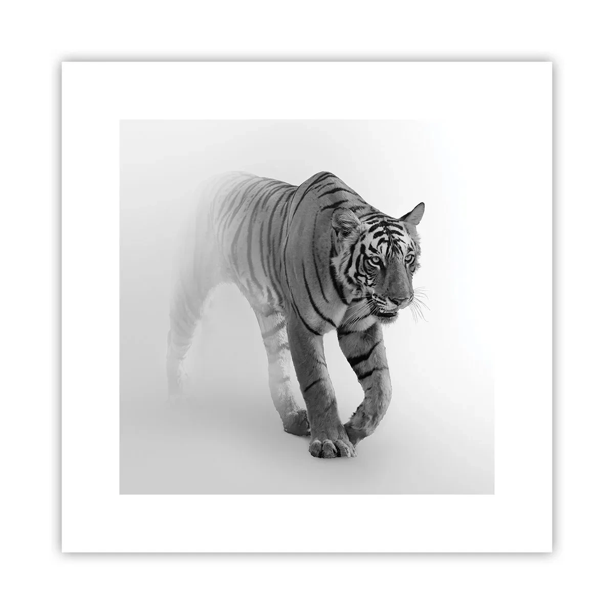 Poster - Gehurkt in de mist - 30x30 cm