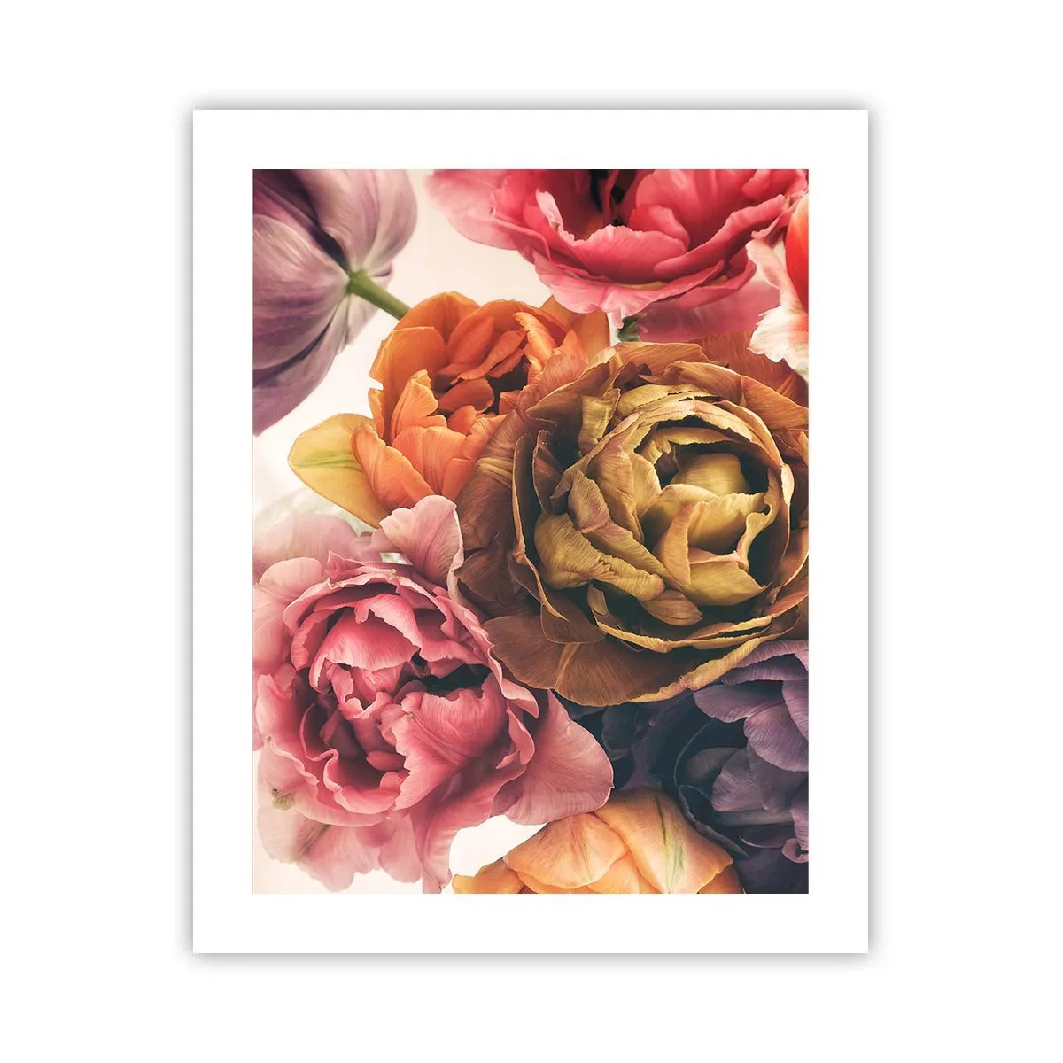 Poster - Een viering van het leven - 40x50 cm