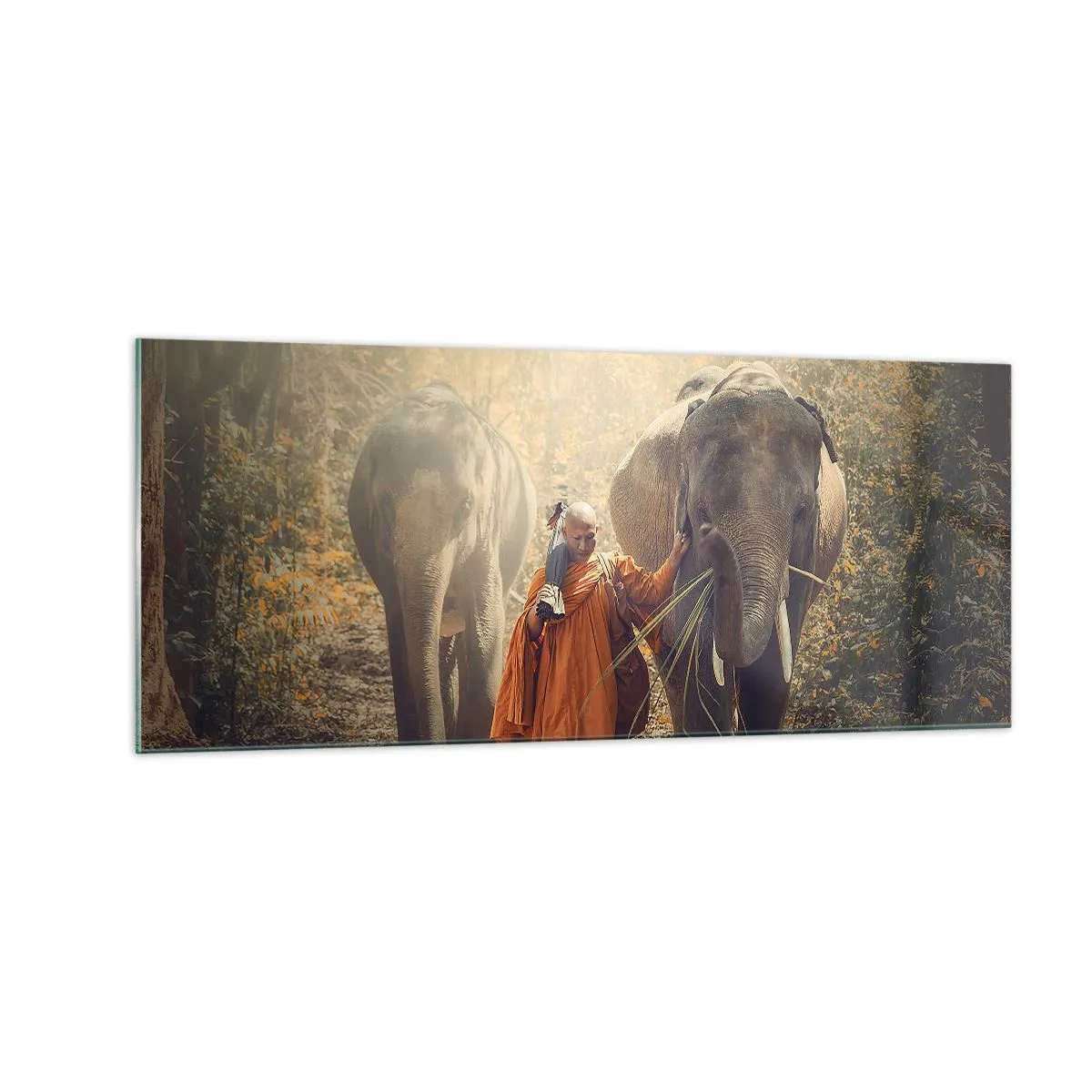 Schilderen op glas - Volledig begrip - 100x40 cm