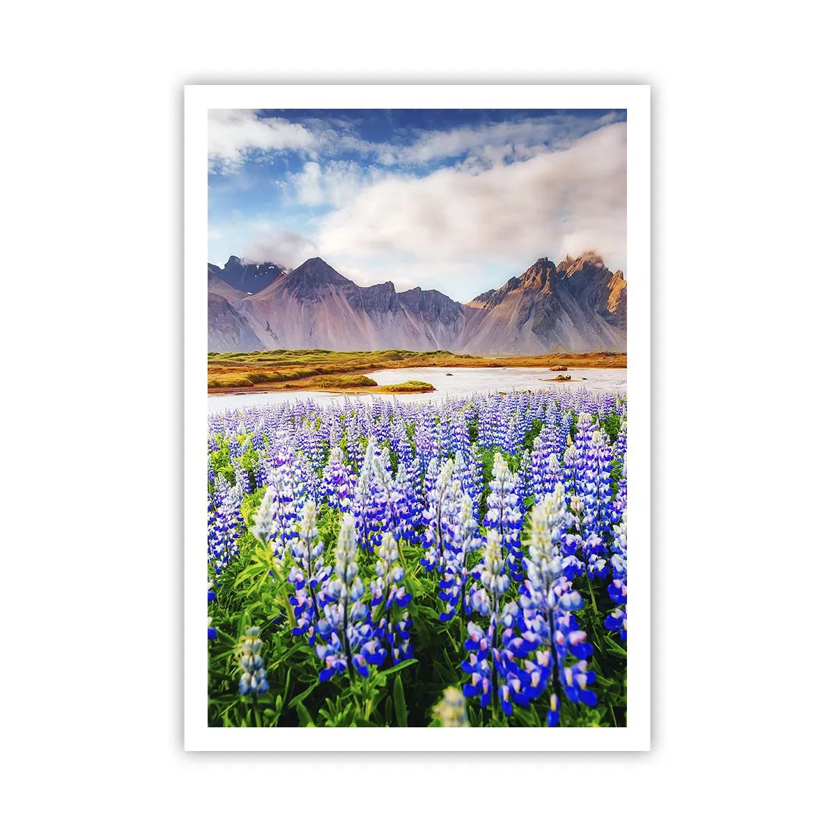 Poster - Kracht en soberheid naast zachtheid - 70x100 cm