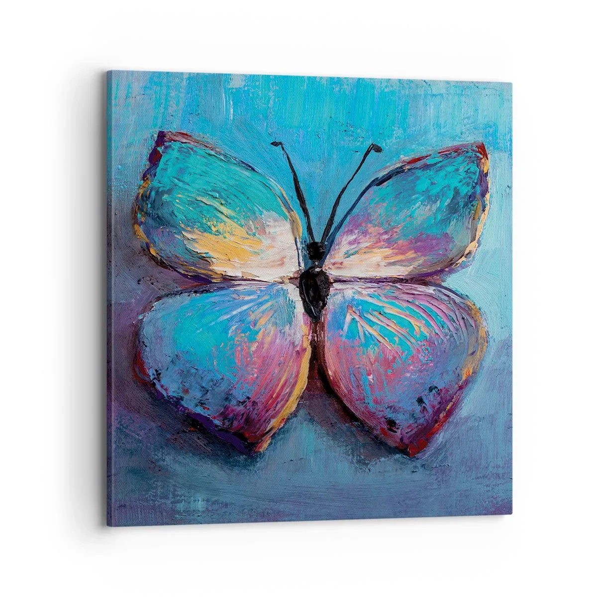 Schilderen op canvas - In al zijn glorie - 70x70 cm