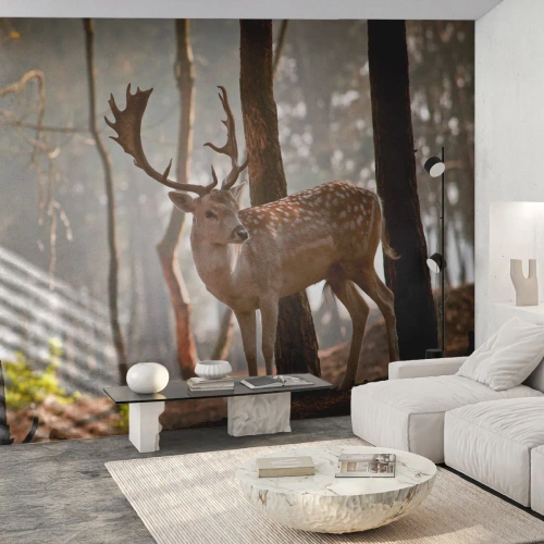 Zelfklevend Fotobehang Deluxe Sticker - Het licht van de jeugd - Dieren, Hert, Woud - 400x280 cm