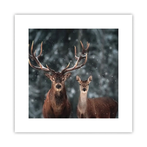 Poster - Heer van het bos met zijn vrouw - 30x30 cm