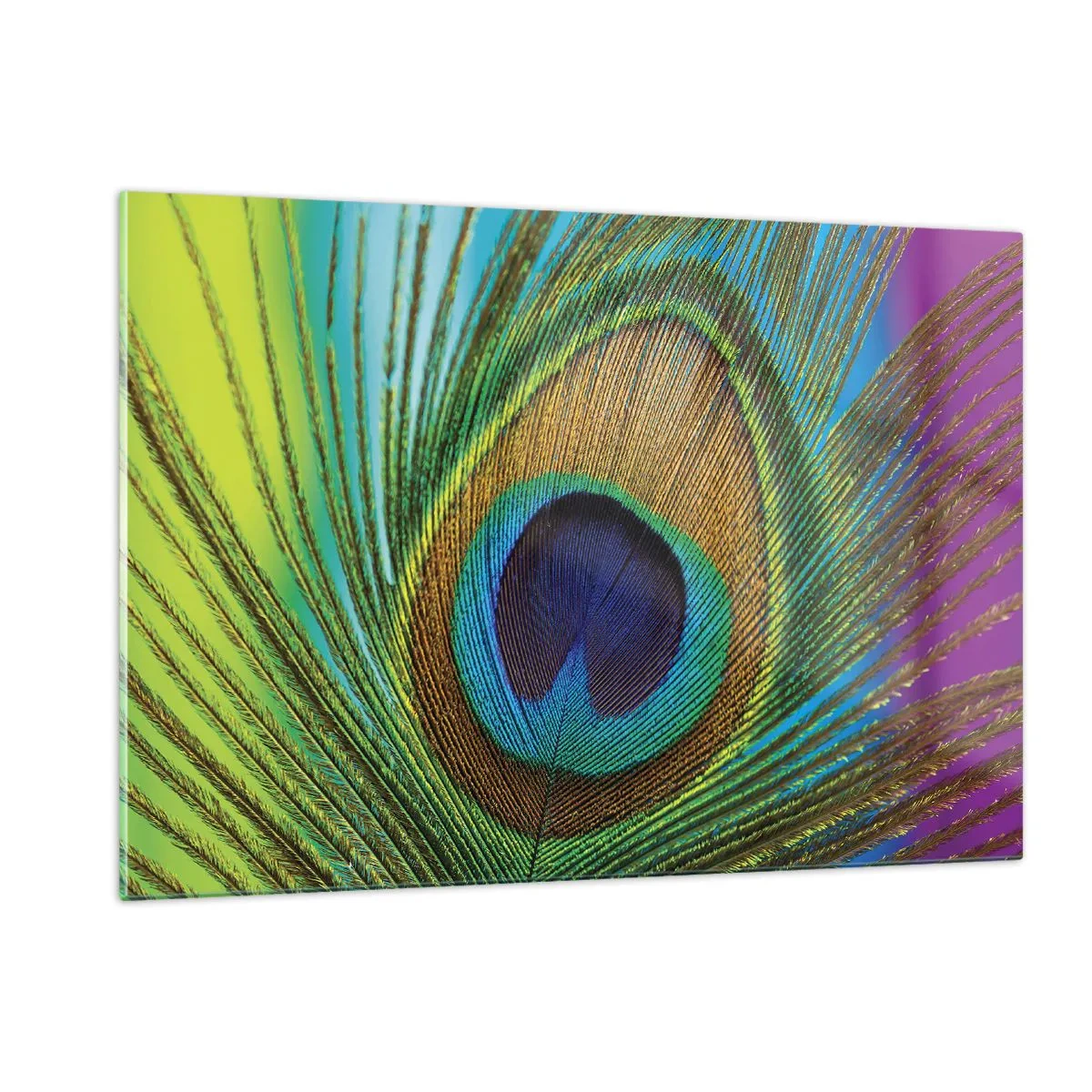 Schilderen op glas - Oog in oog - 120x80 cm