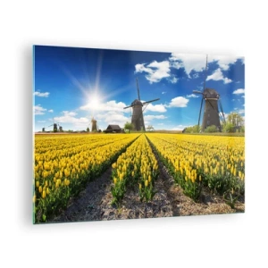 Schilderen op glas - Een veld met gele tulpen met molens op de achtergrond op een zonnige dag. - 70x50cm - Hollandser kan het niet - Moderne wanddecoratie voor woonkamer en slaapkamer ARTTOR