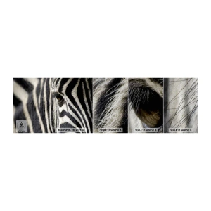 Fotobehang Monster Premium Sand - Gestreept portret - Dieren, Ribben, Afrika - 100x30 cm