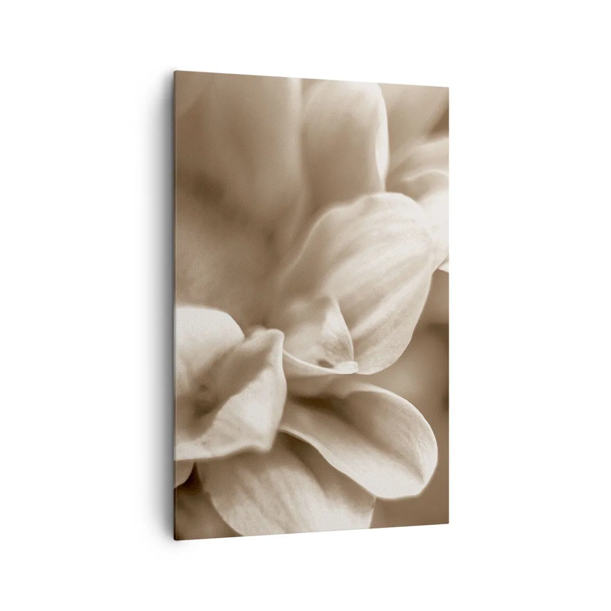 Schilderen op canvas - Zo zacht als een glimlach - 80x120 cm