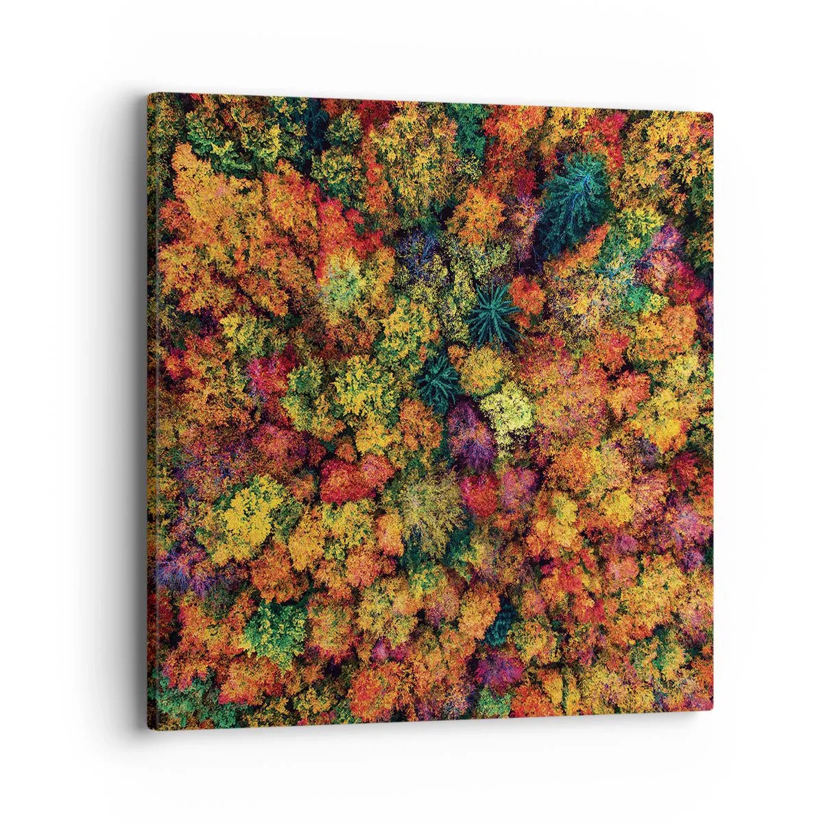 Schilderen op canvas - Boeket herfstbomen - 40x40 cm