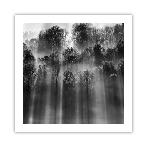 Poster - In stromen van licht - 50x50 cm