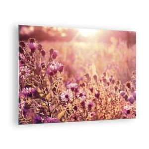 Schilderen op glas - Paarse bloemen in de weide in het licht van de ondergaande zon - 70x50cm - Voordat de zomer voorbij is - Moderne wanddecoratie voor woonkamer en slaapkamer ARTTOR