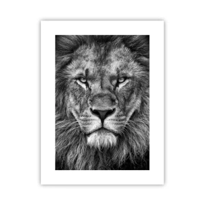 Poster - In een kroningskleed - 30x40 cm