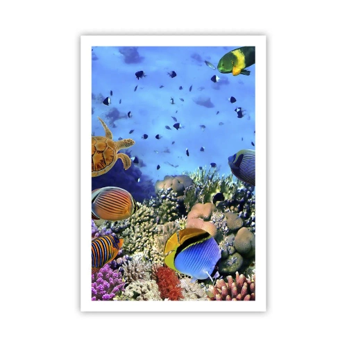 Poster - En wat weten we over het leven... - 61x91 cm