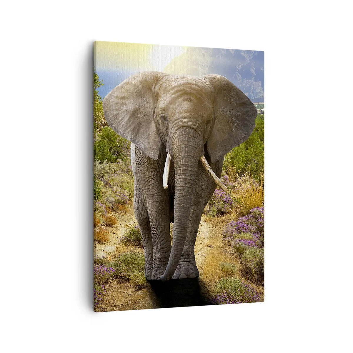 Schilderen op canvas - Zo zag Eden eruit - 50x70 cm