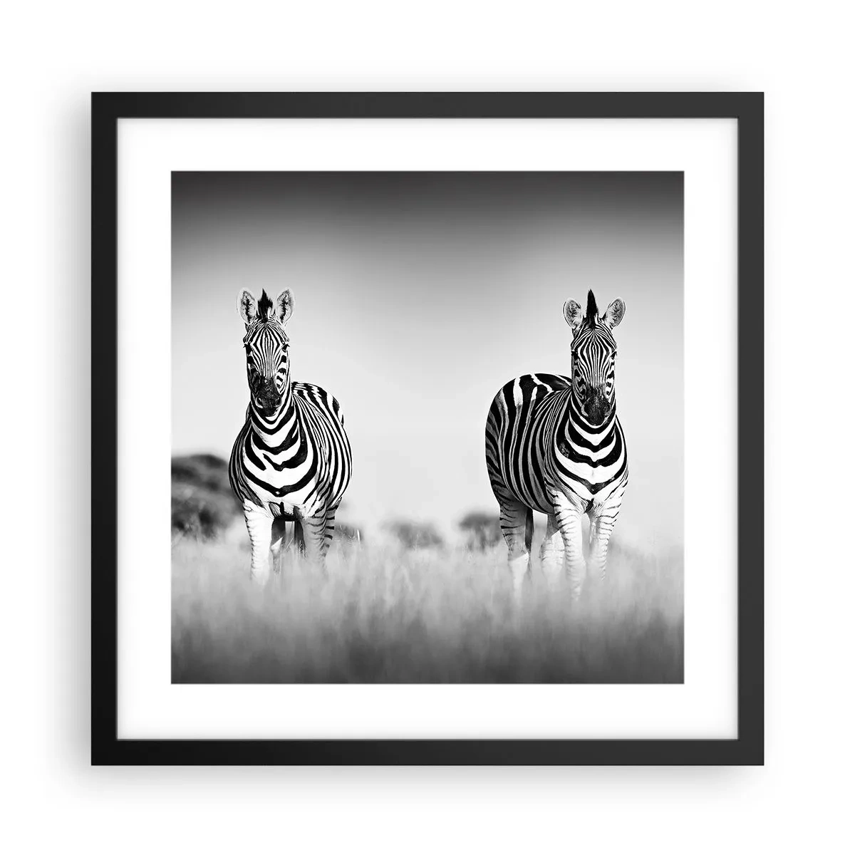 Poster in een zwarte lijst - Toch is de wereld zwart-wit - 40x40 cm