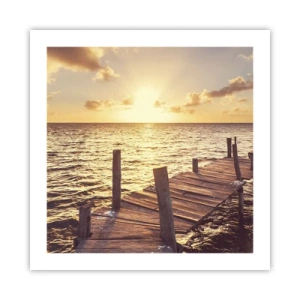 Poster - Het gouden land van zachtheid - 50x50 cm