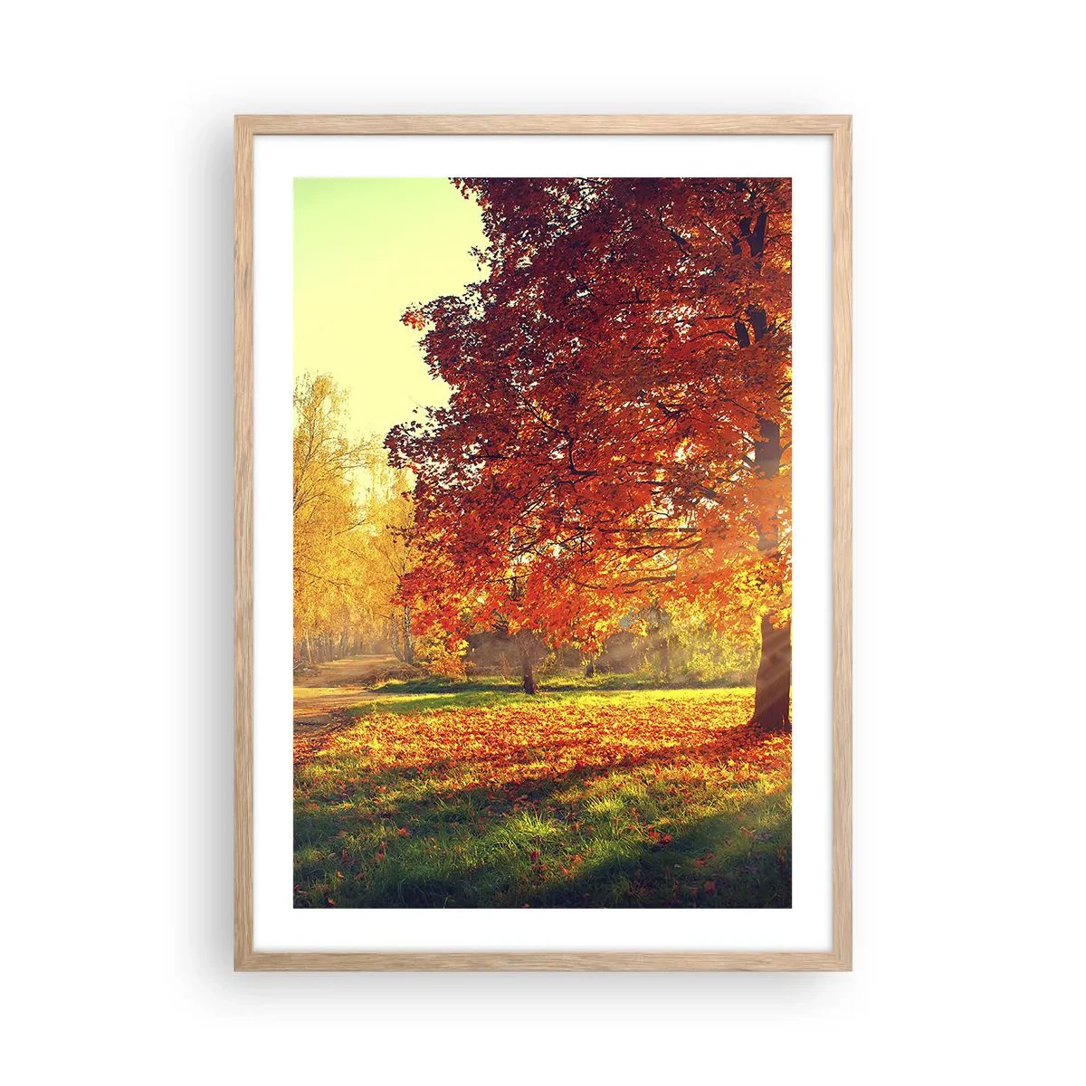 Een poster in een licht eiken lijst - Rood is mooi - 50x70 cm