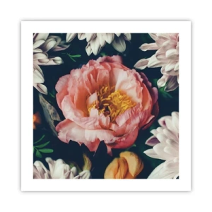 Poster - Met barokke pracht - 50x50 cm