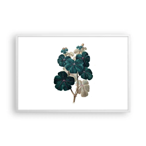 Poster in een witte lijst - Uit het oude herbarium - 91x61 cm