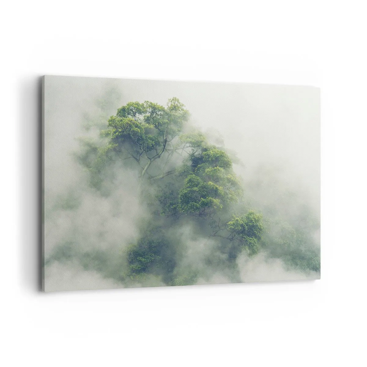 Schilderen op canvas - In mist gehuld - 120x80 cm