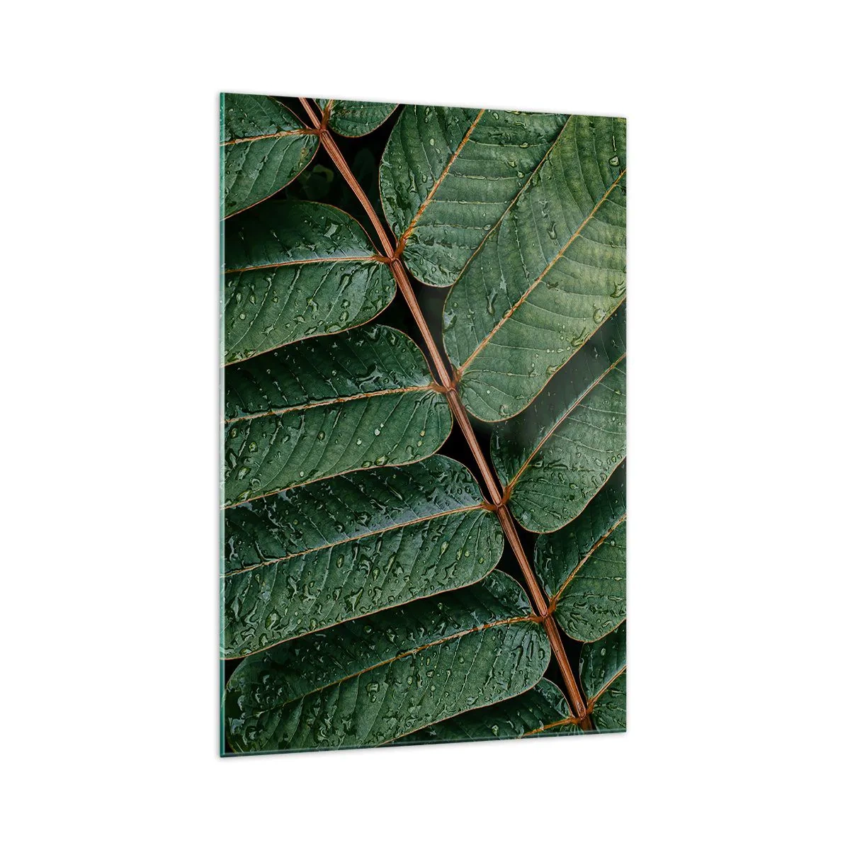 Schilderen op glas - In een groen ritme - 70x100 cm