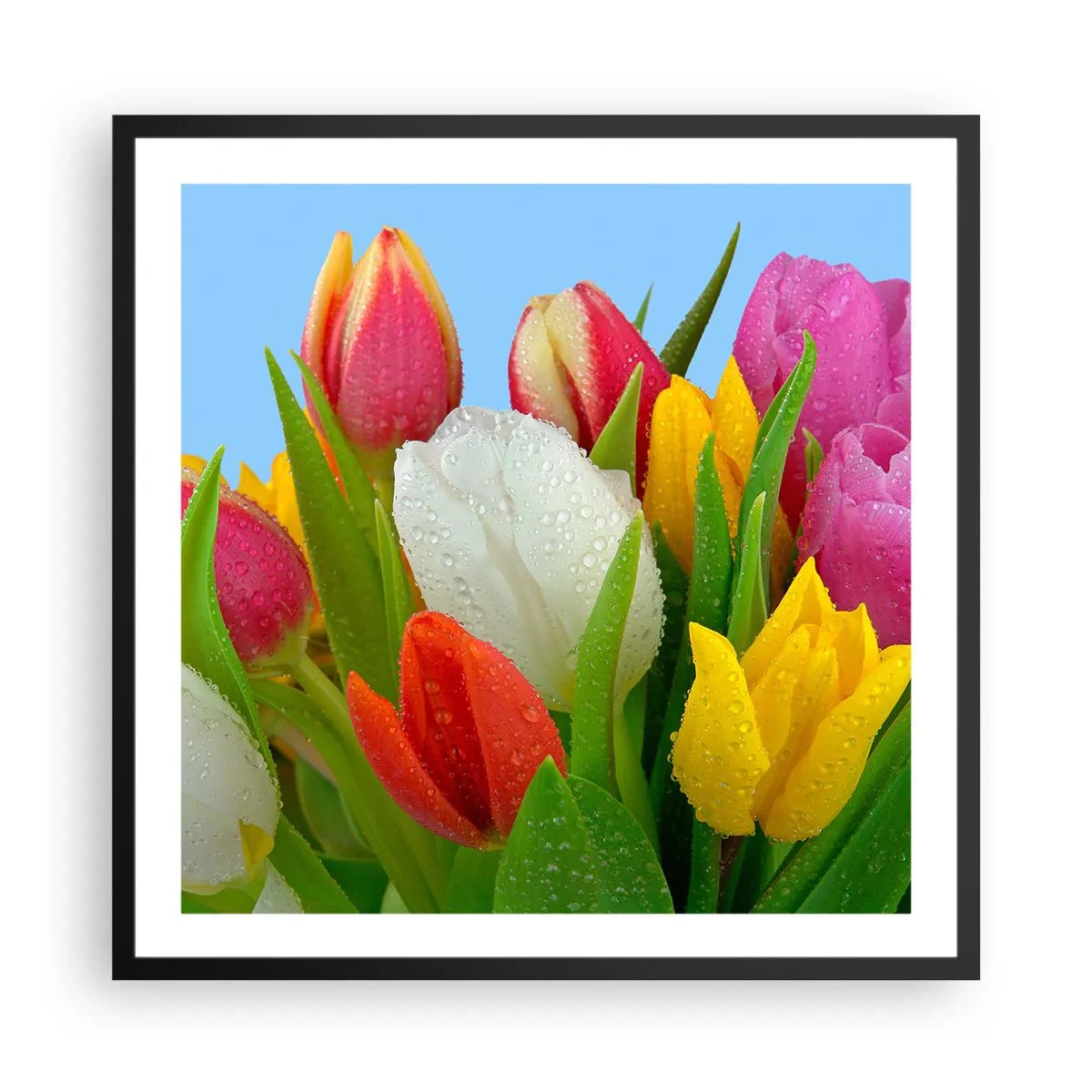 Poster in een zwarte lijst - Een bloemenregenboog in dauwdruppels - 60x60 cm