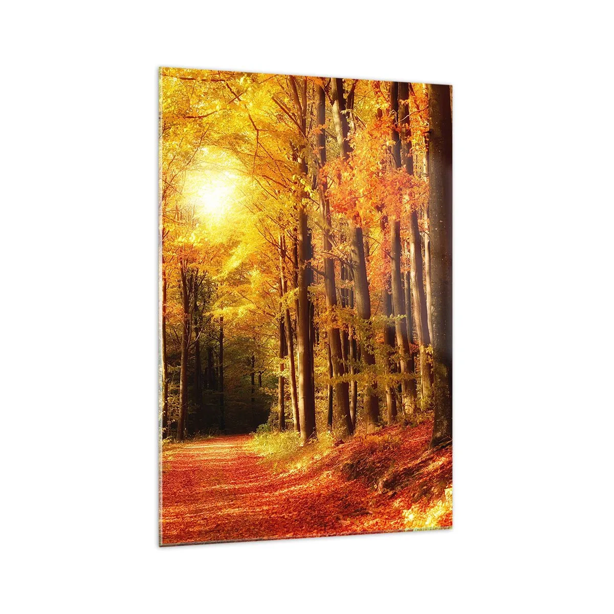 Schilderen op glas - Gouden herfst op een bosweg - 70x100 cm