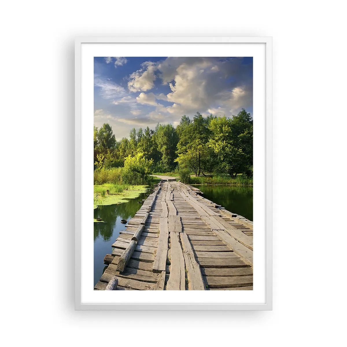 Poster in een witte lijst - Zomer, zomer overal - 50x70 cm