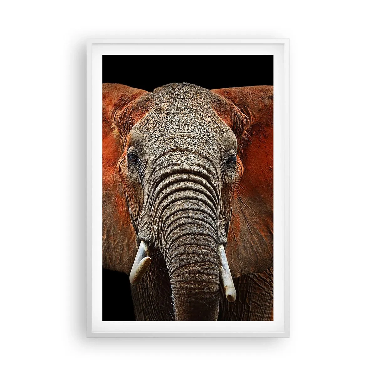 Poster in een witte lijst - Ik ben wild, en jij? - 61x91 cm