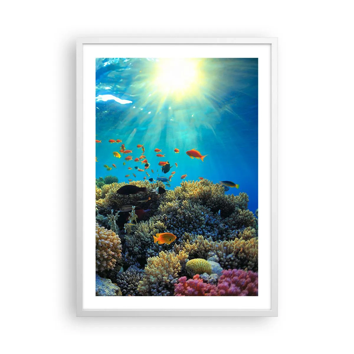 Poster in een witte lijst - Onderwater schatten - 50x70 cm