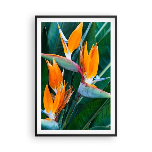 Poster in een zwarte lijst - Is het een bloem of is het een vogel? - 61x91 cm