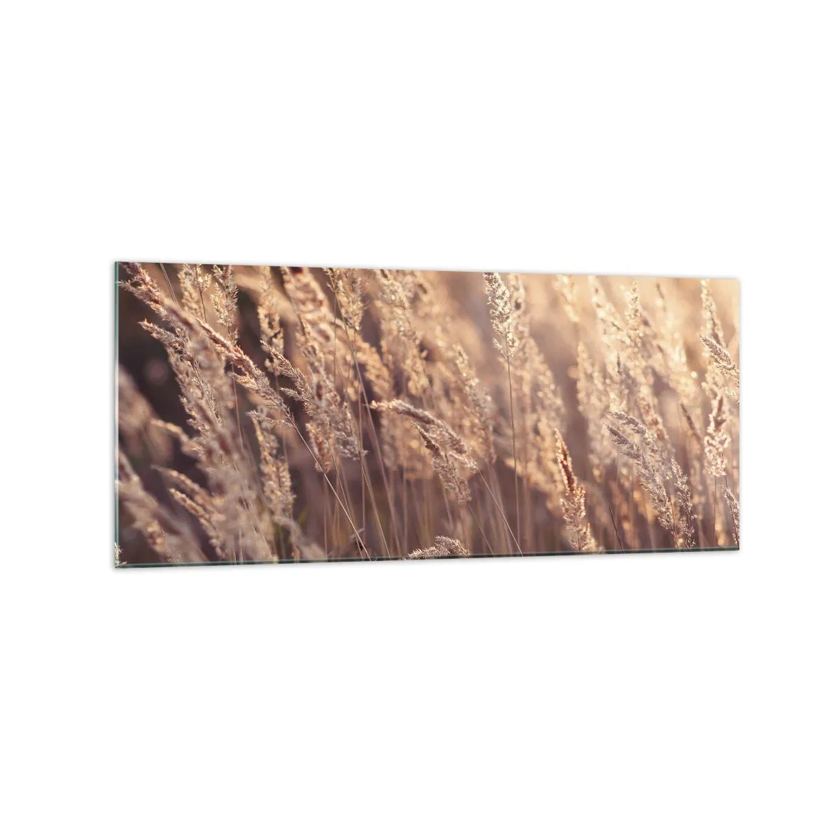 Schilderen op glas - Klaar om de herfst te verwelkomen - 120x50 cm