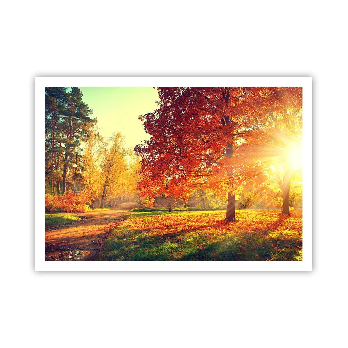 Poster - Rood is mooi - 100x70 cm