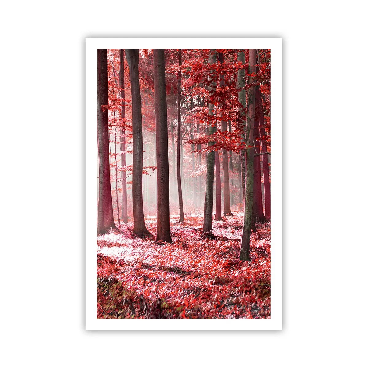 Poster - Rood is net zo mooi - 61x91 cm