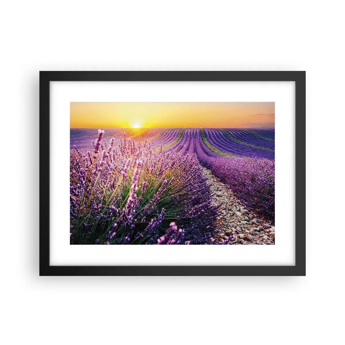 Poster in een zwarte lijst - Geurige korenvelden - 40x30 cm