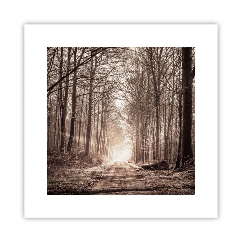 Poster - Boskathedraal - 30x30 cm