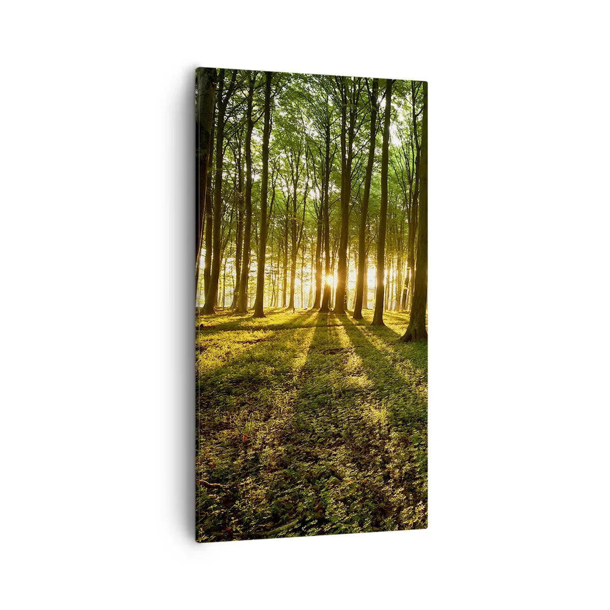 Schilderen op canvas - Foto van de hele lente - 55x100 cm