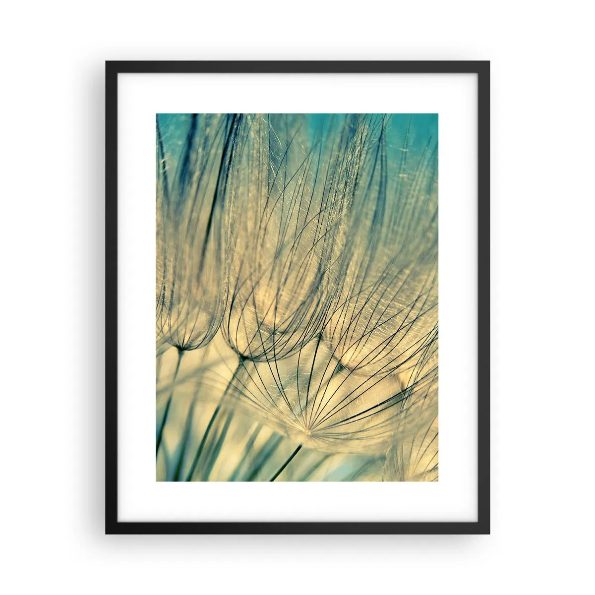 Poster in een zwarte lijst - In afwachting van de wind - 40x50 cm