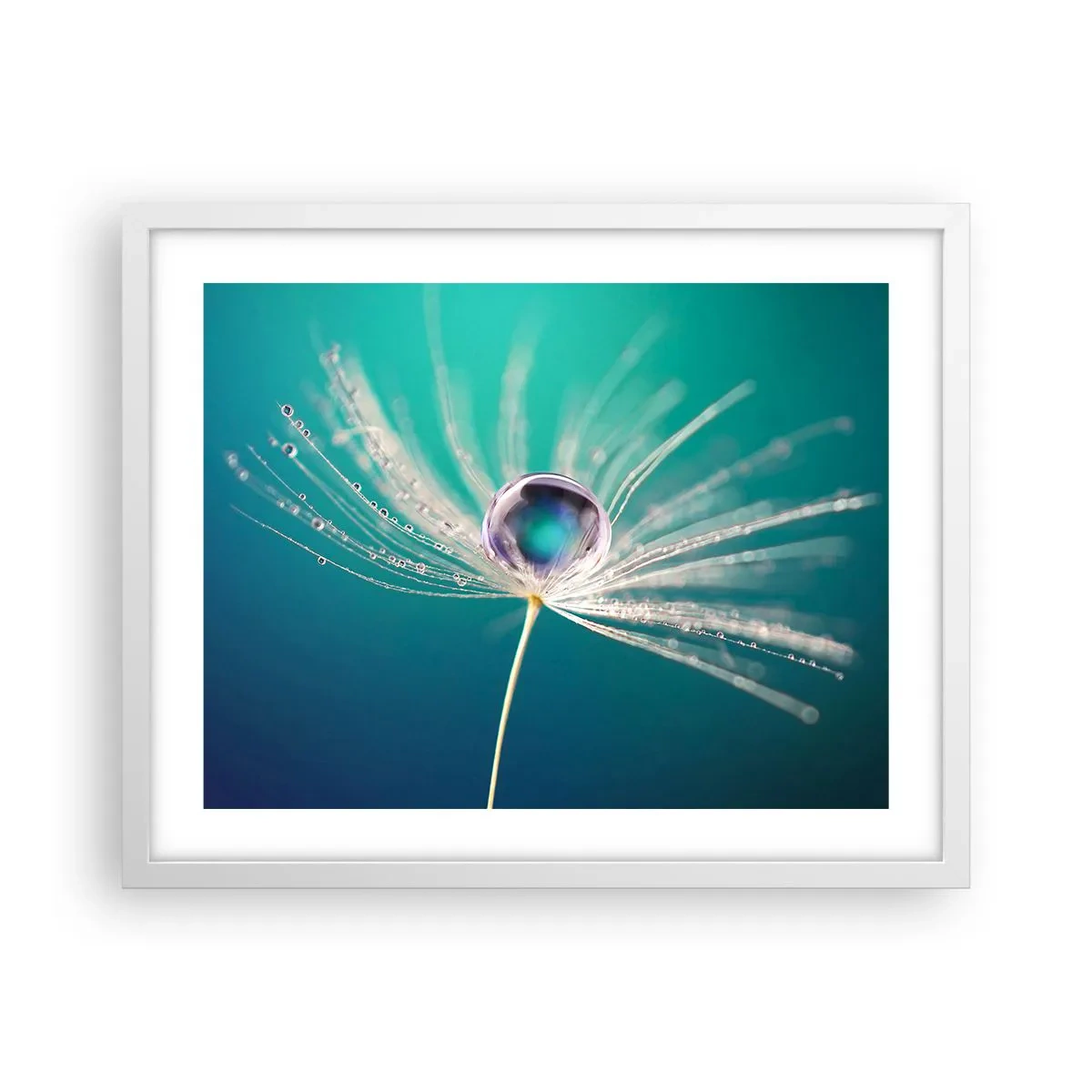 Poster in een witte lijst - Mystiek moment - 50x40 cm
