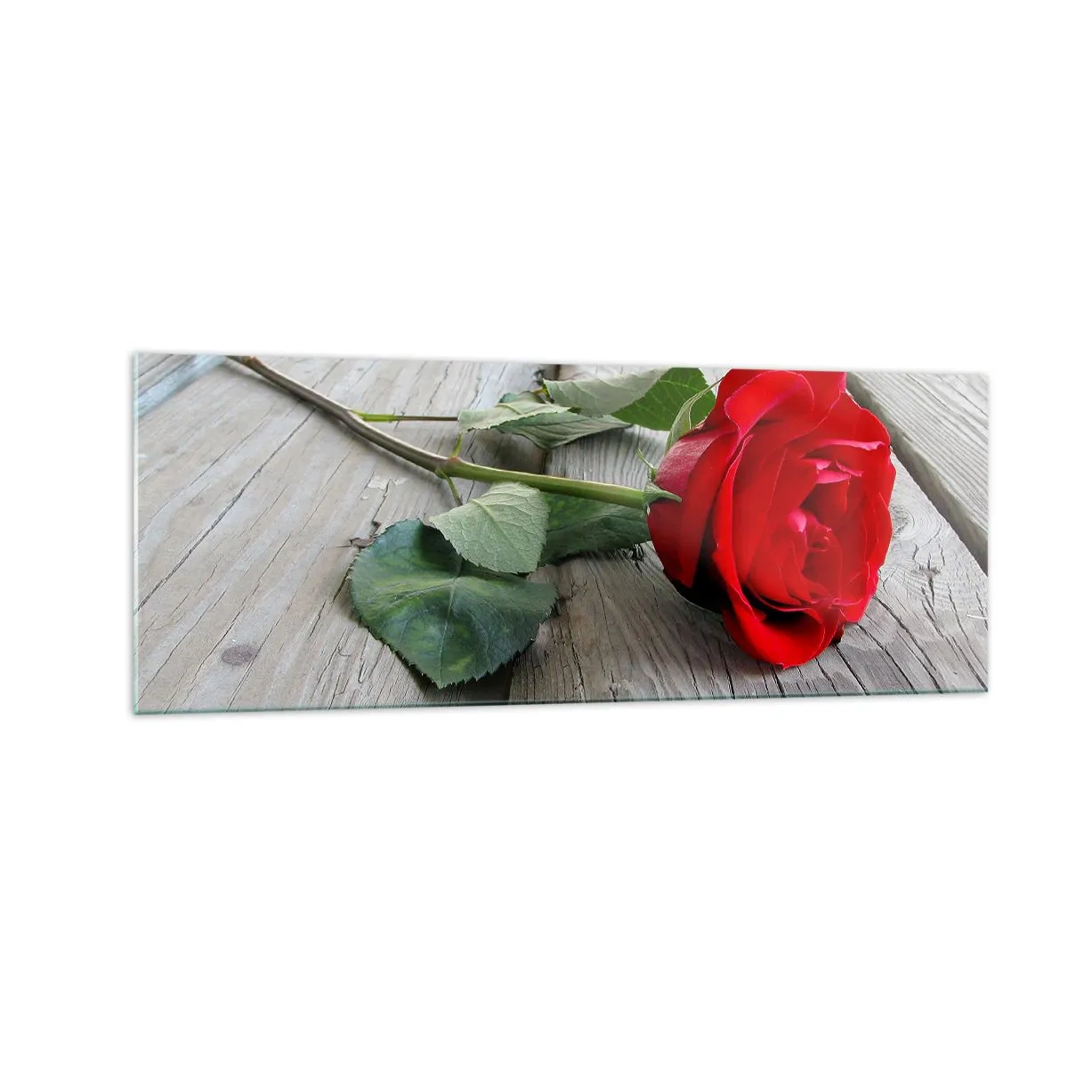 Schilderen op glas - Een studie in scharlaken - 140x50 cm