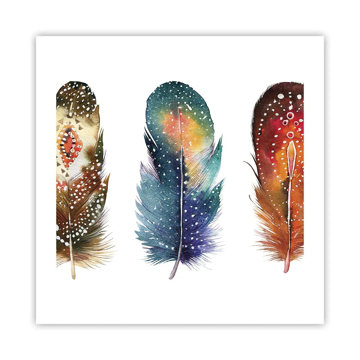 Poster - Rituelen, ceremonies, geheimen - 50x50 cm