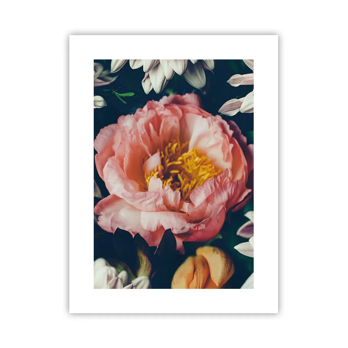 Poster - Met barokke pracht - 30x40 cm