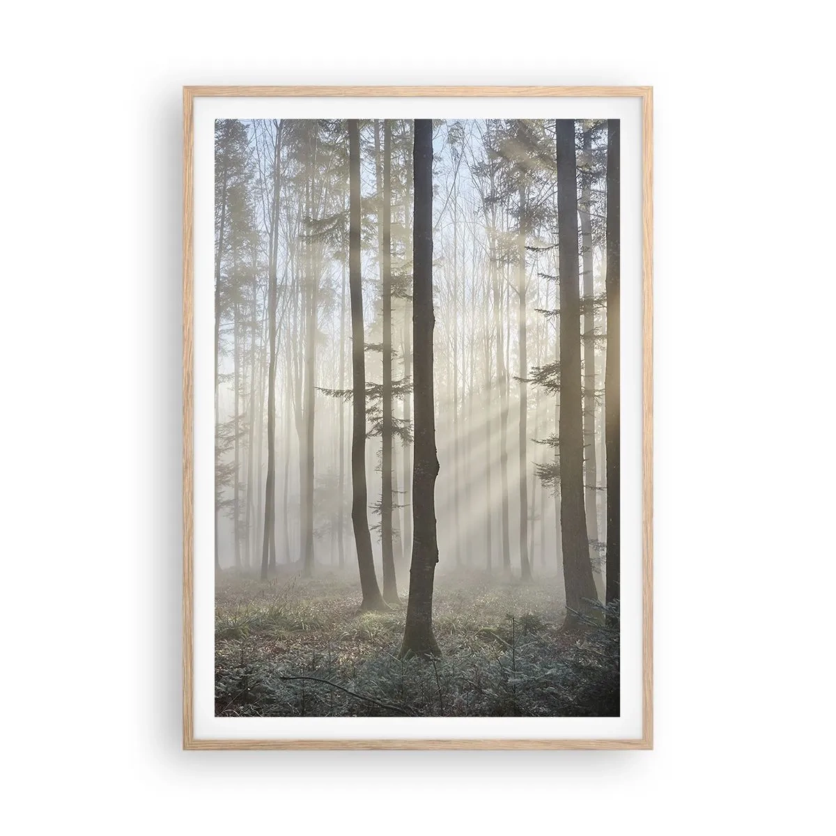Een poster in een licht eiken lijst - De mist werd ook wakker - 70x100 cm