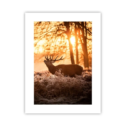 Poster - De droom van een jager - 30x40 cm